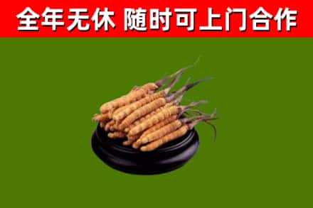 清河县烟酒回收冬虫夏草.jpg