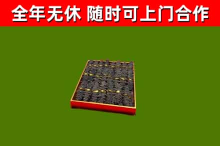 清河县回收海参